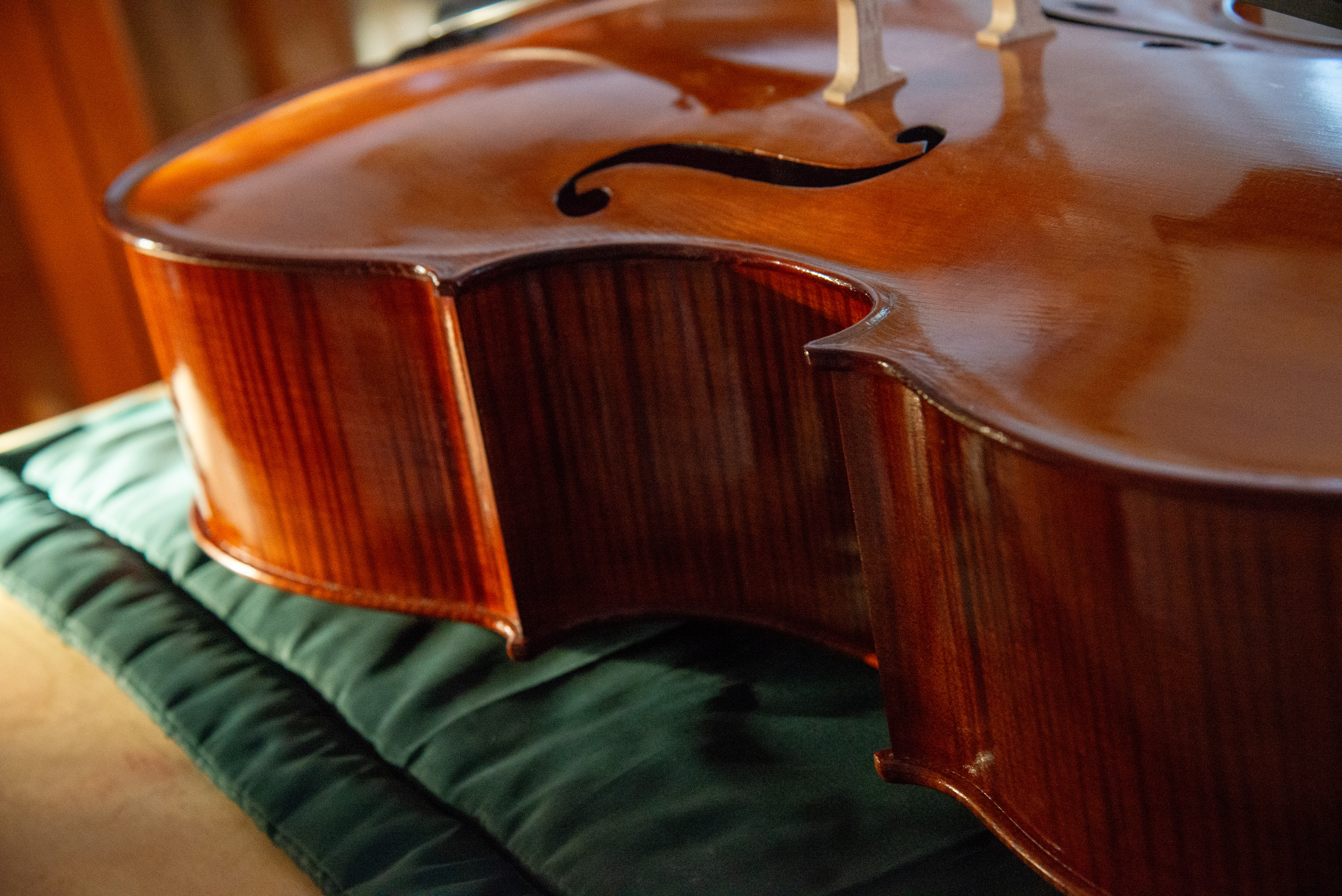 Violoncello
