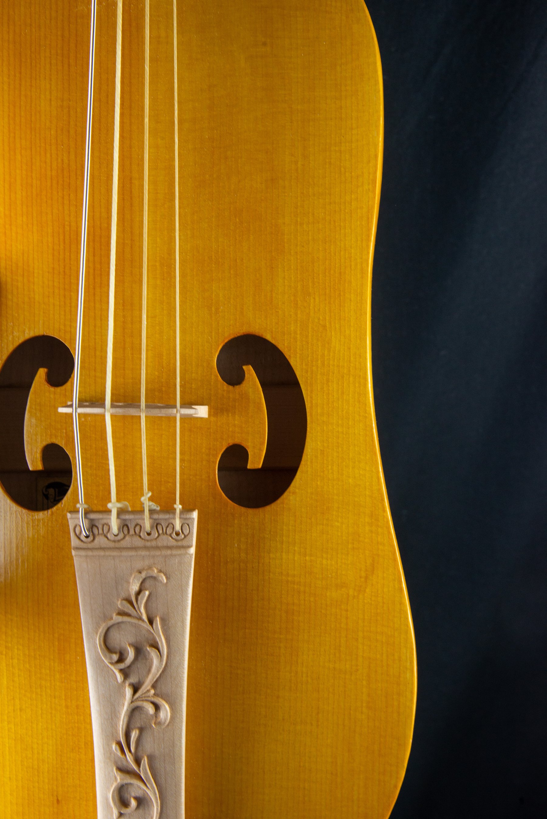 Viella — fotografia 4