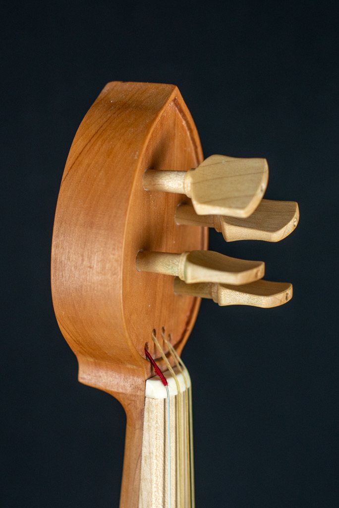 Viella — fotografia 9
