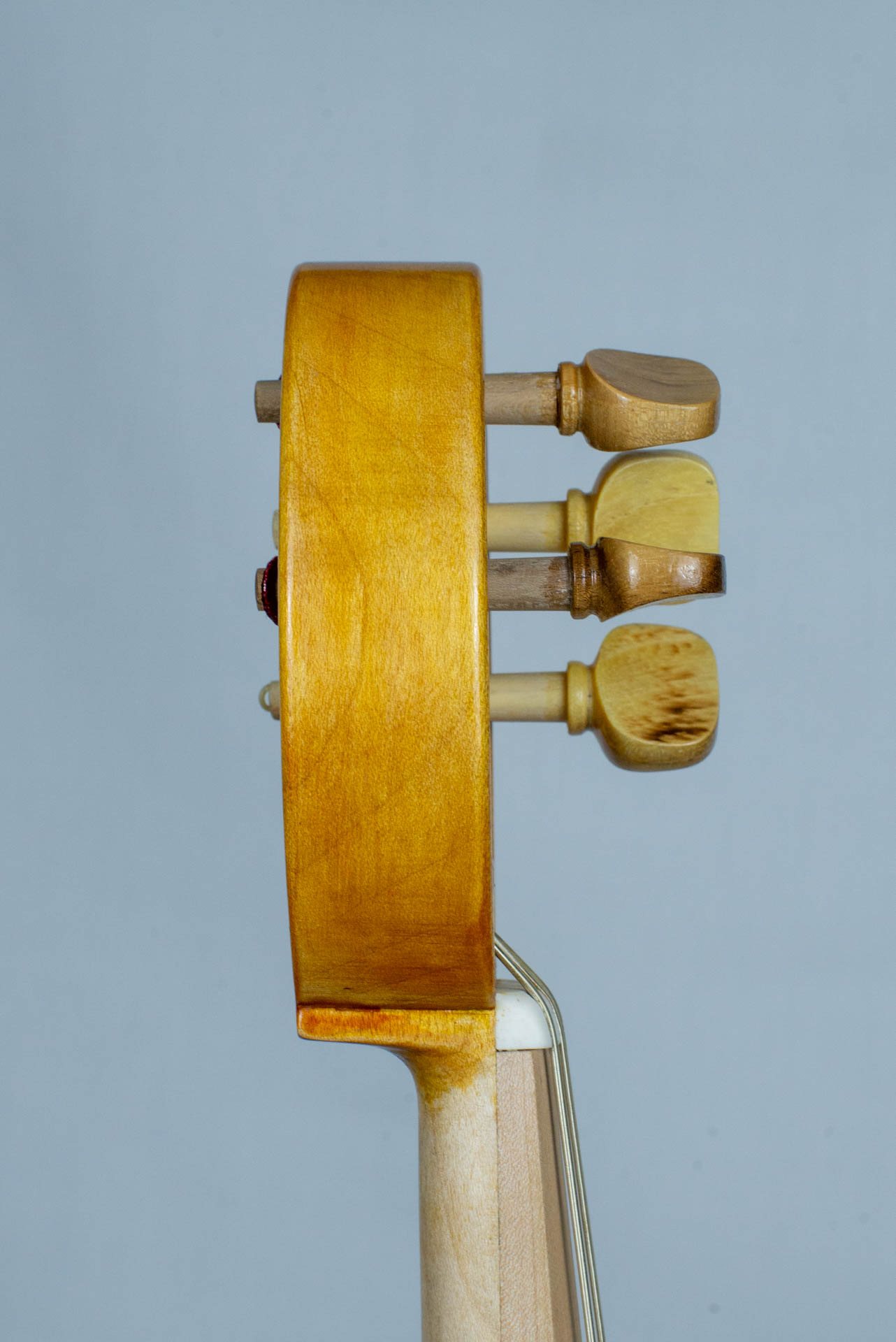 Viella — fotografia 4