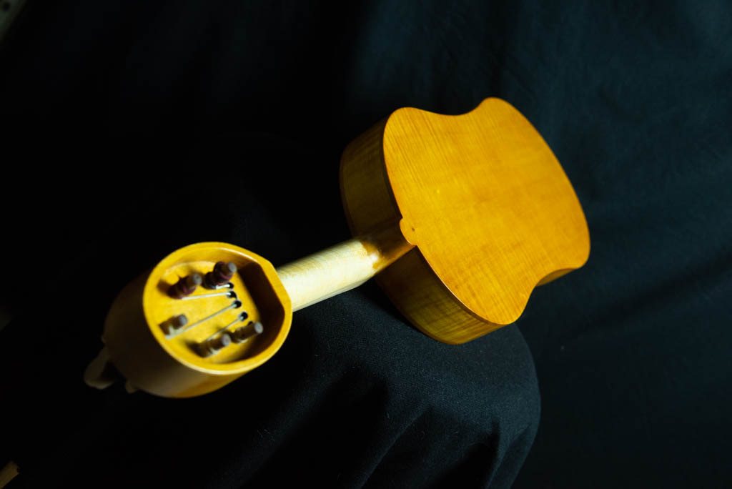 Viella — fotografia 10