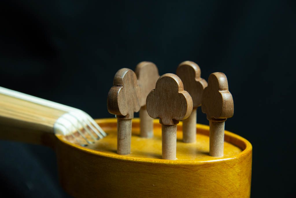 Viella — fotografia 12