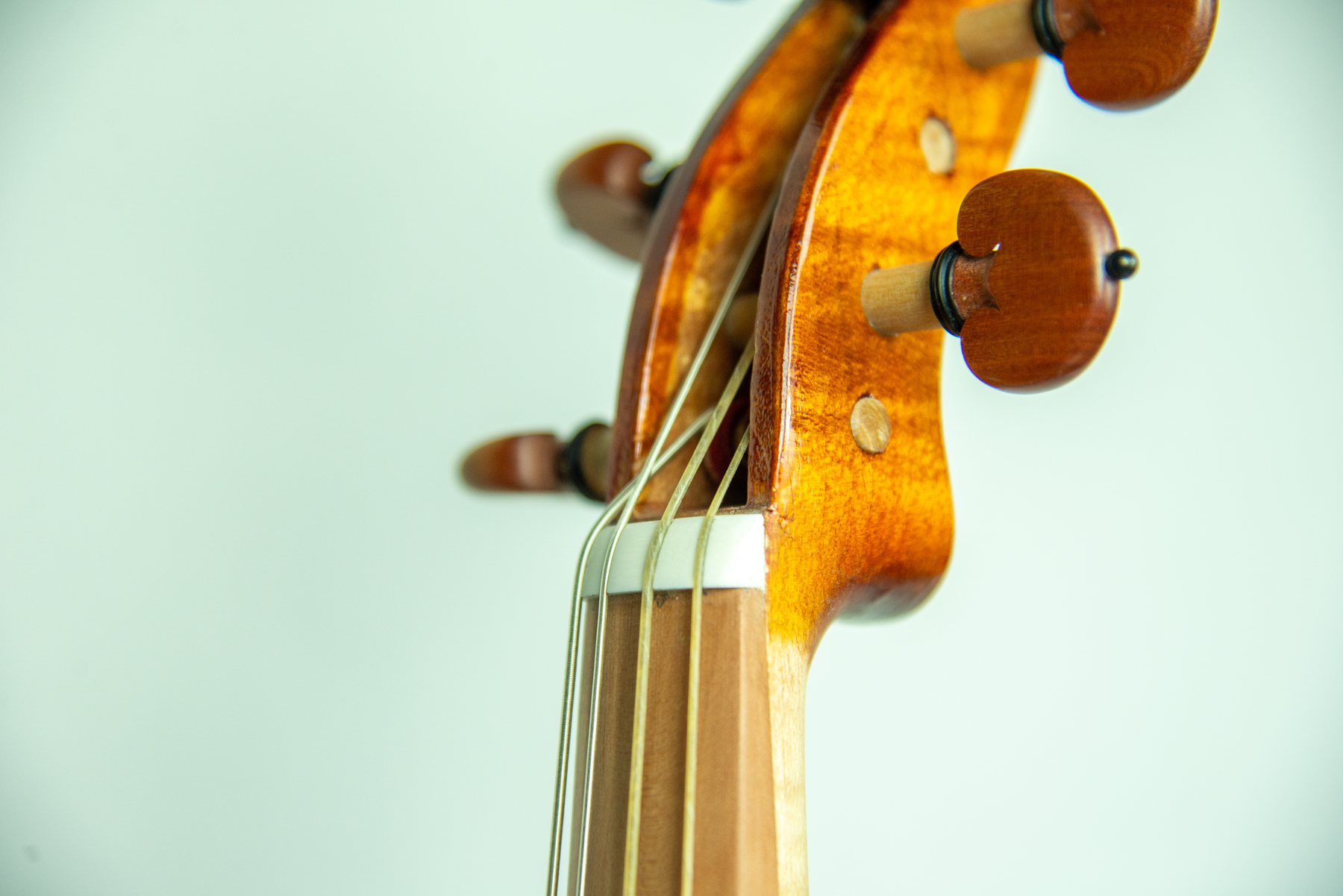 Viola barocca — fotografia 5