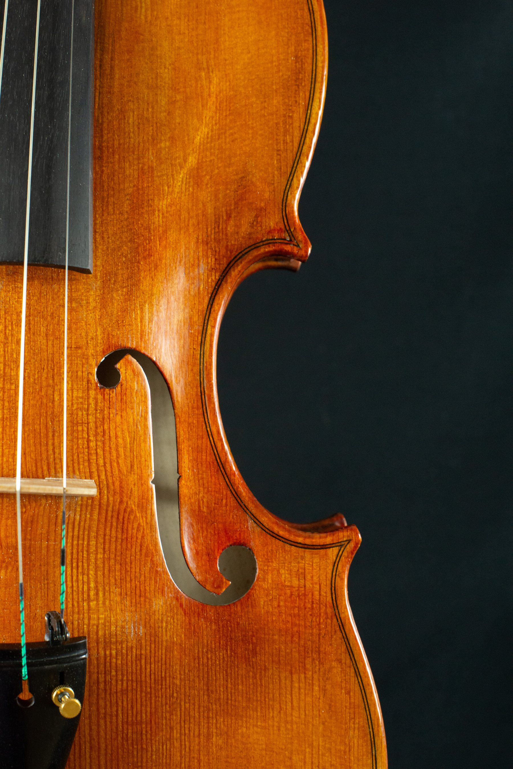 Viola — fotografia 3