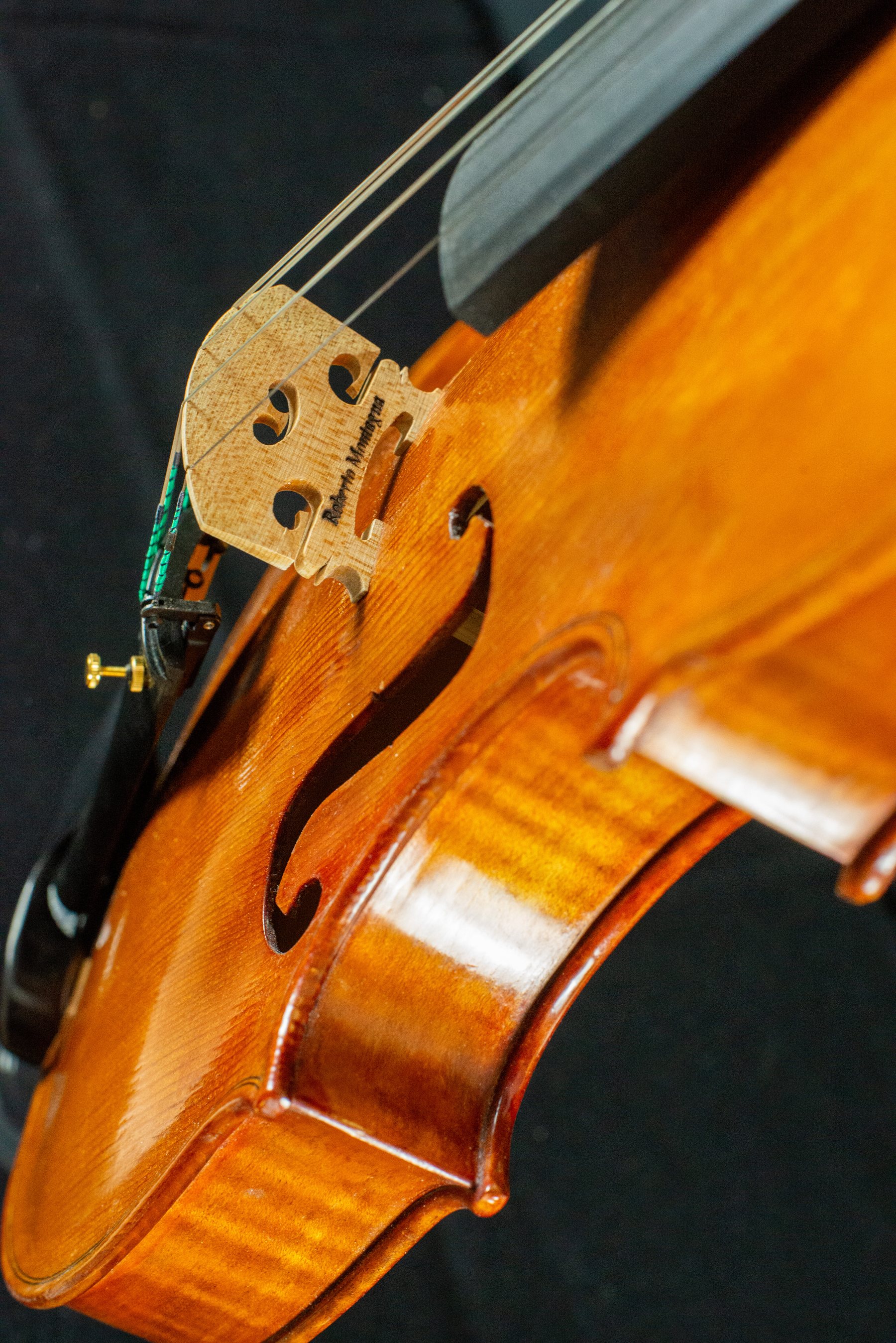Viola — fotografia 4