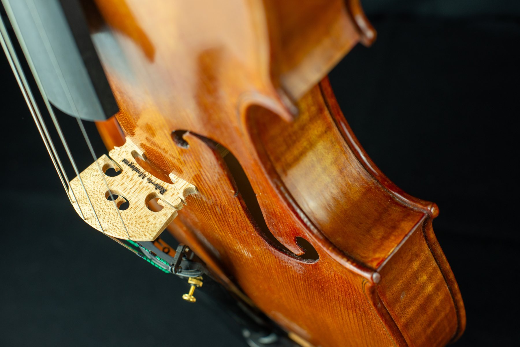 Viola — fotografia 5