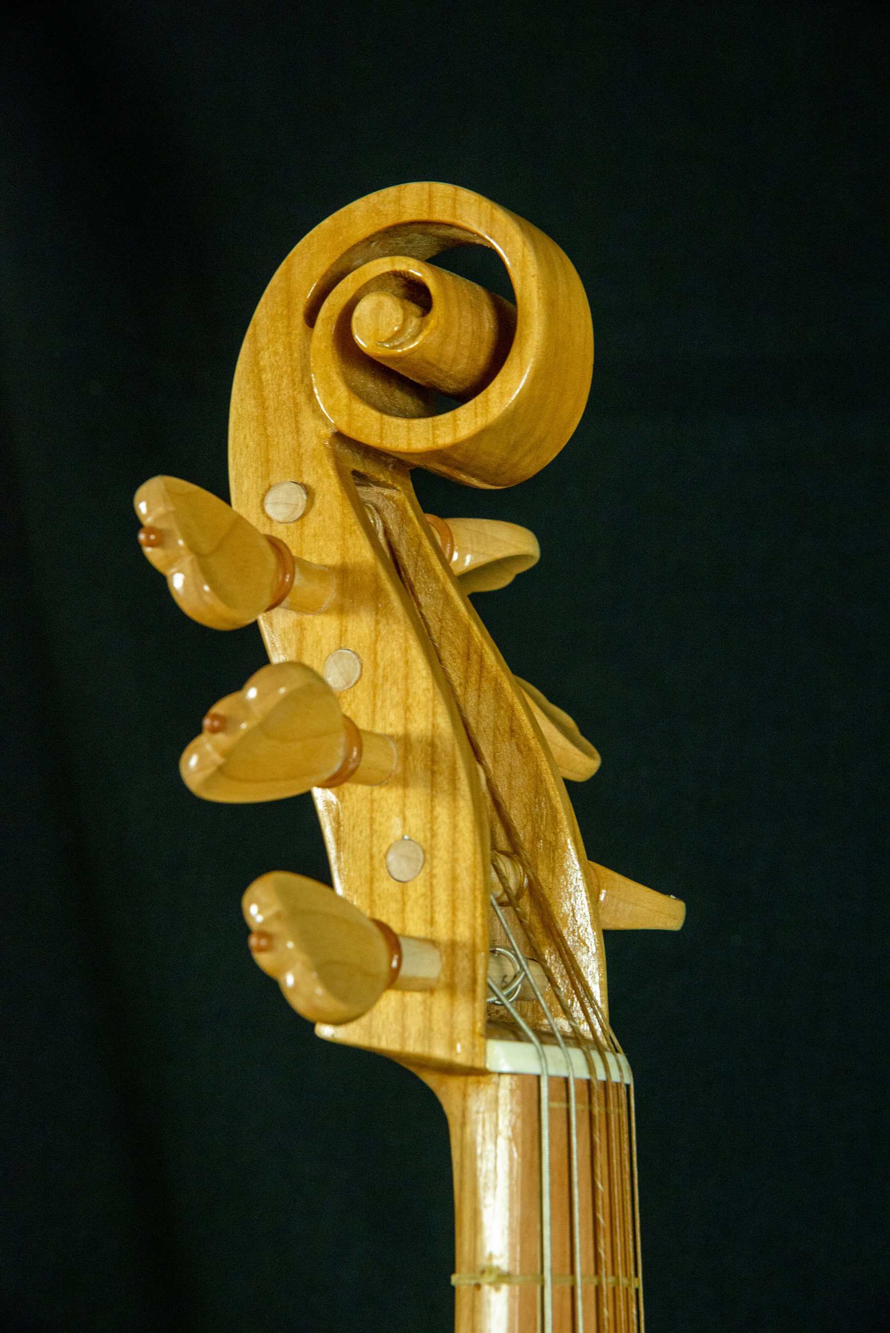 Viola da gamba — fotografia 3