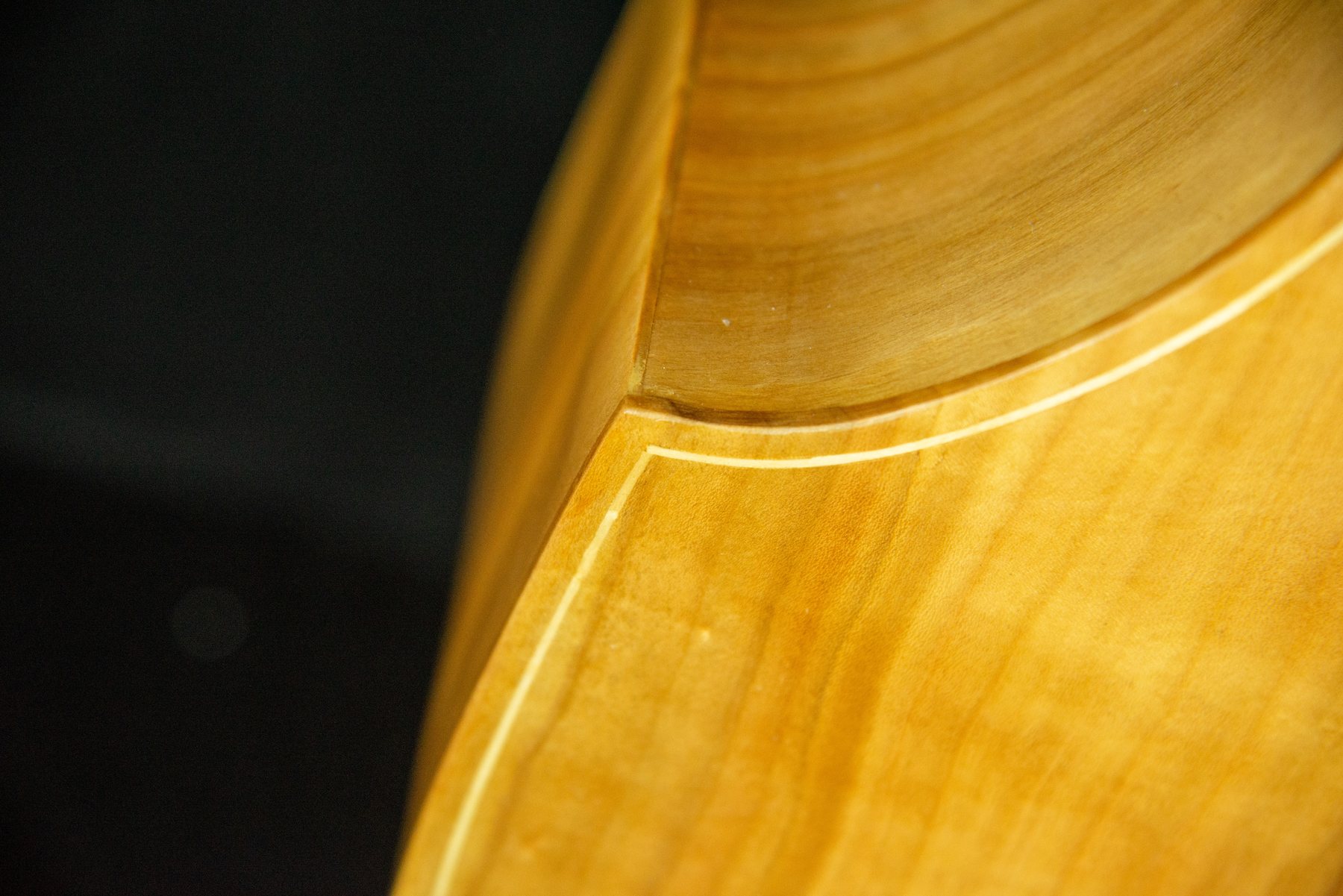 Viola da gamba — fotografia 6