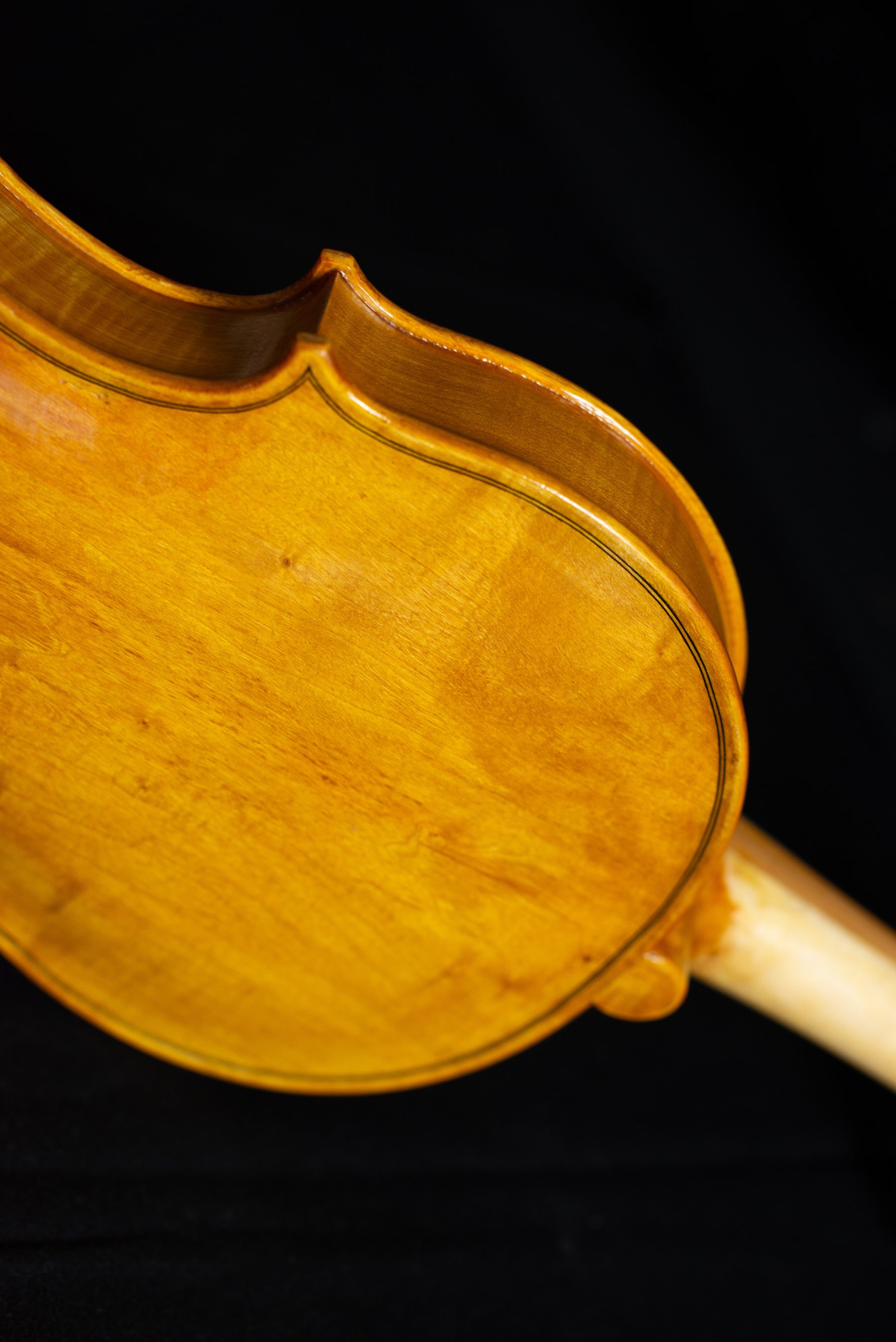 Violino barocco — fotografia 3