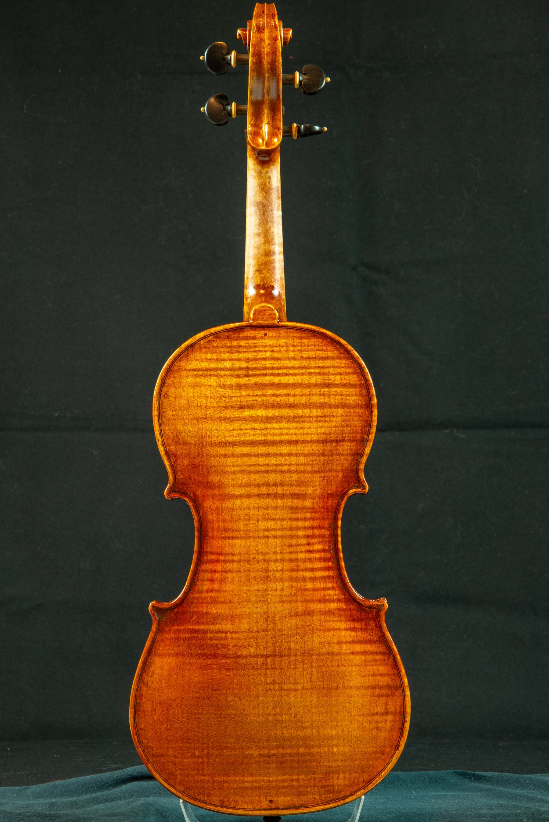 Violino — fotografia 2