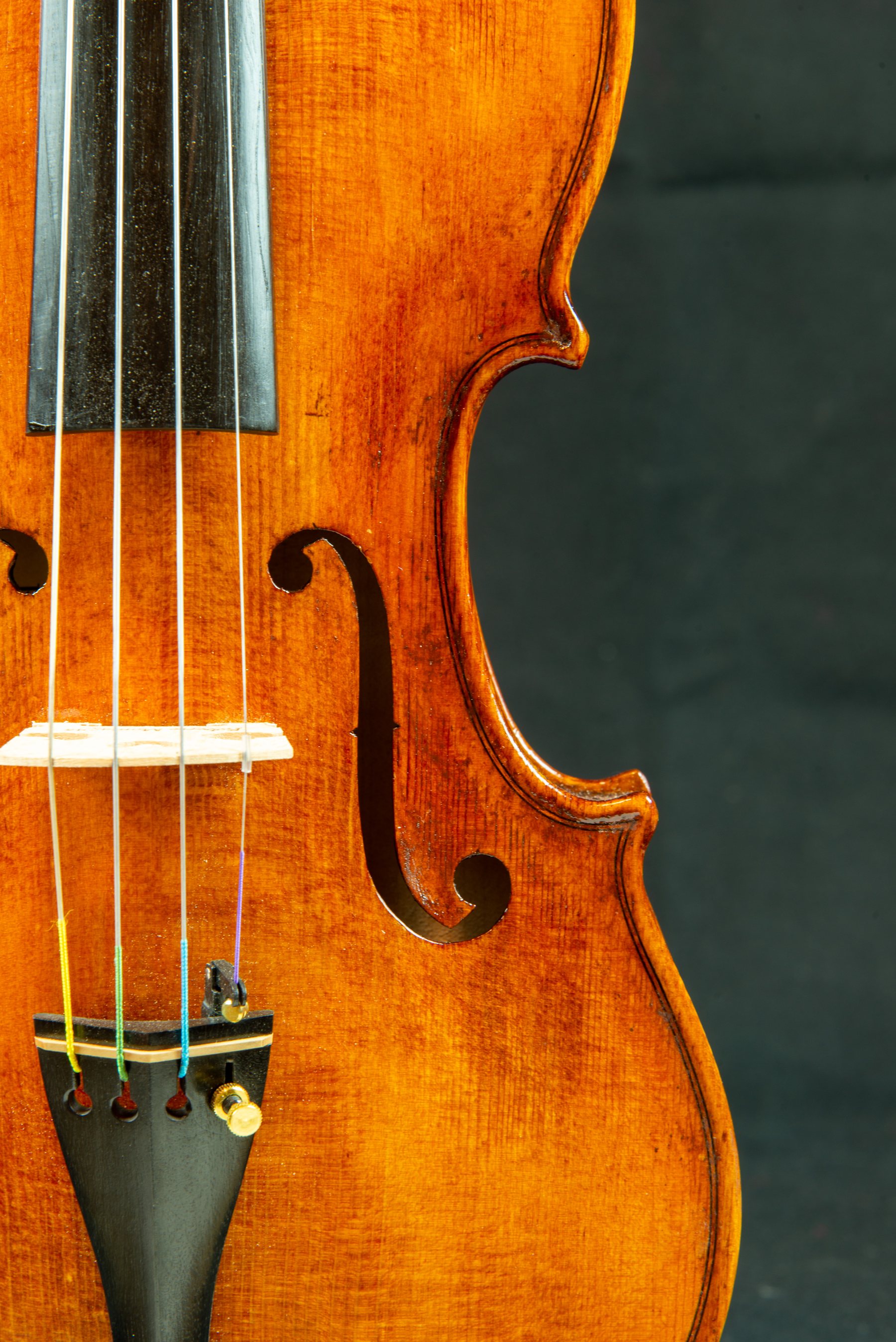 Violino — fotografia 3