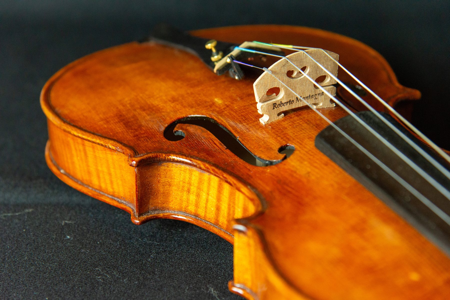 Violino — fotografia 4