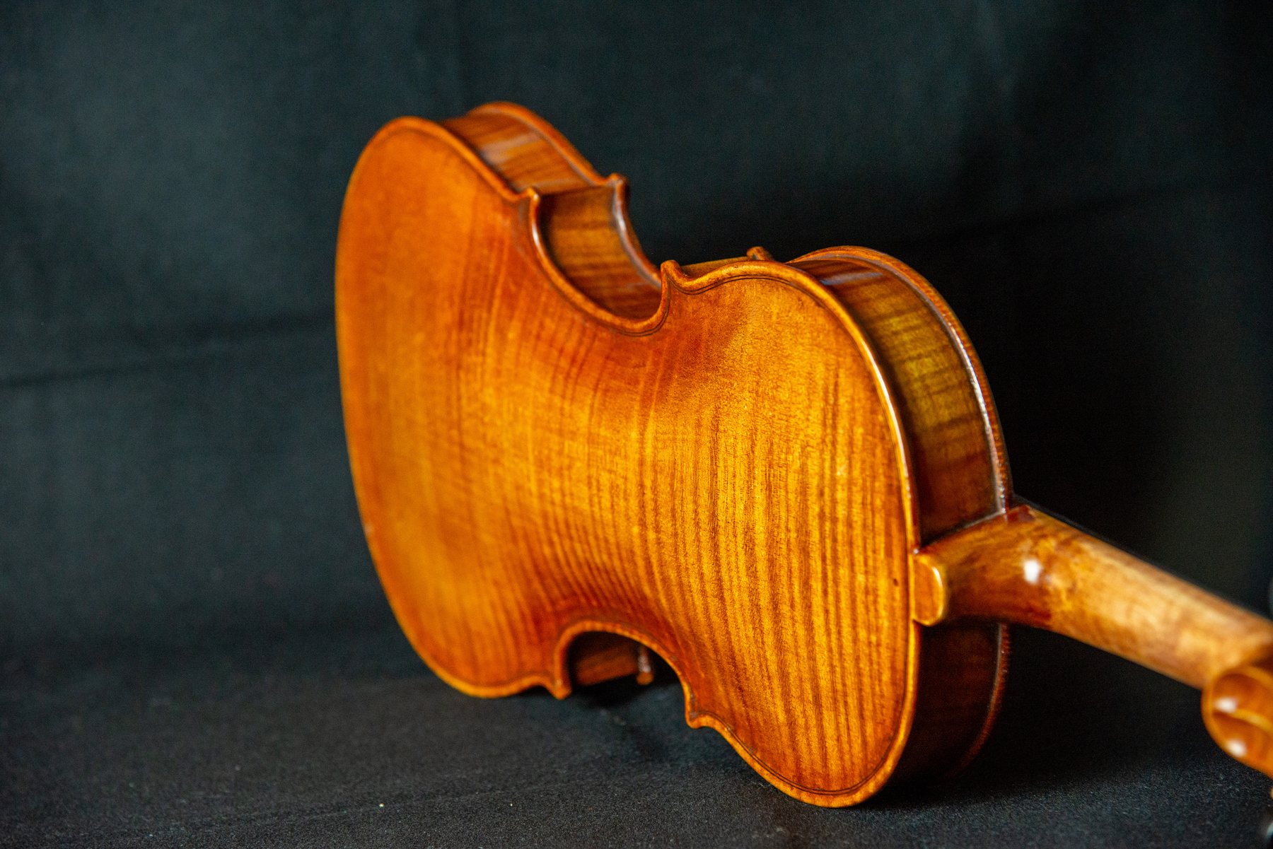 Violino — fotografia 5