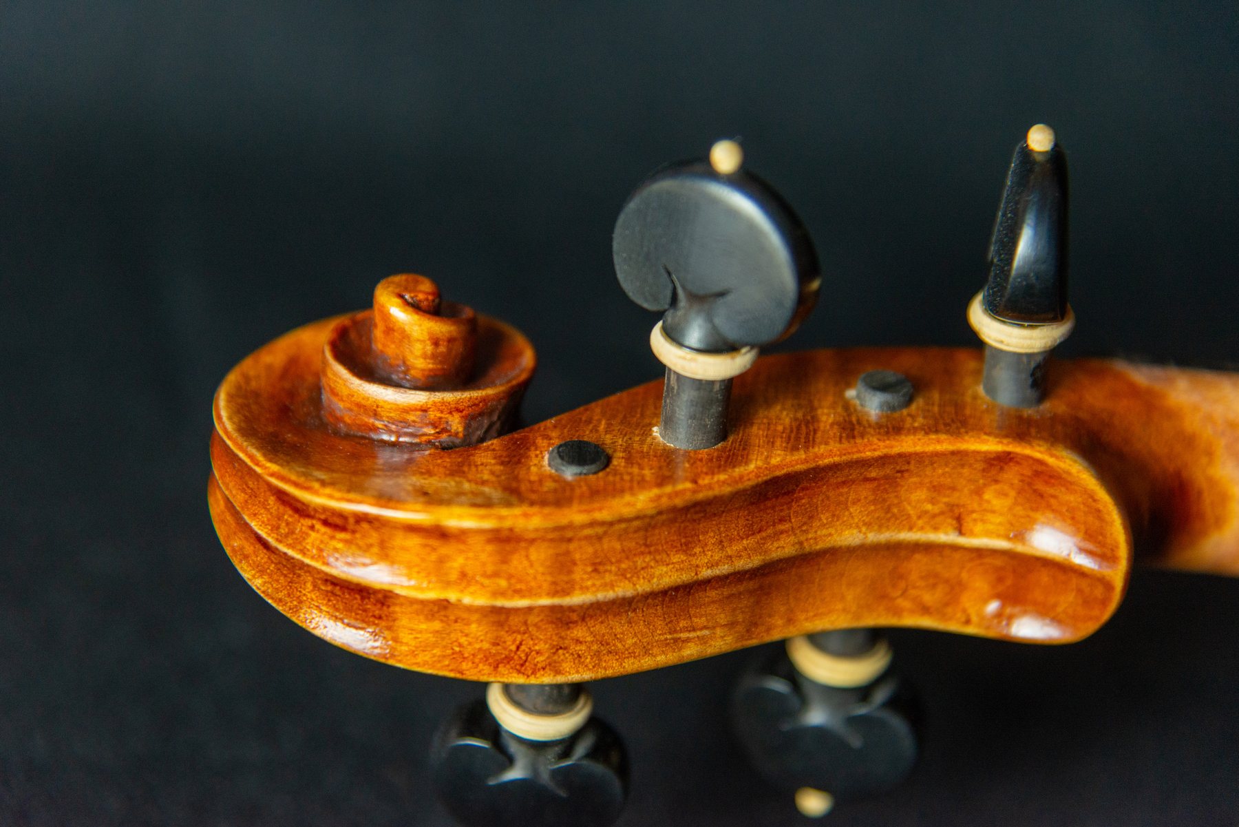 Violino — fotografia 6