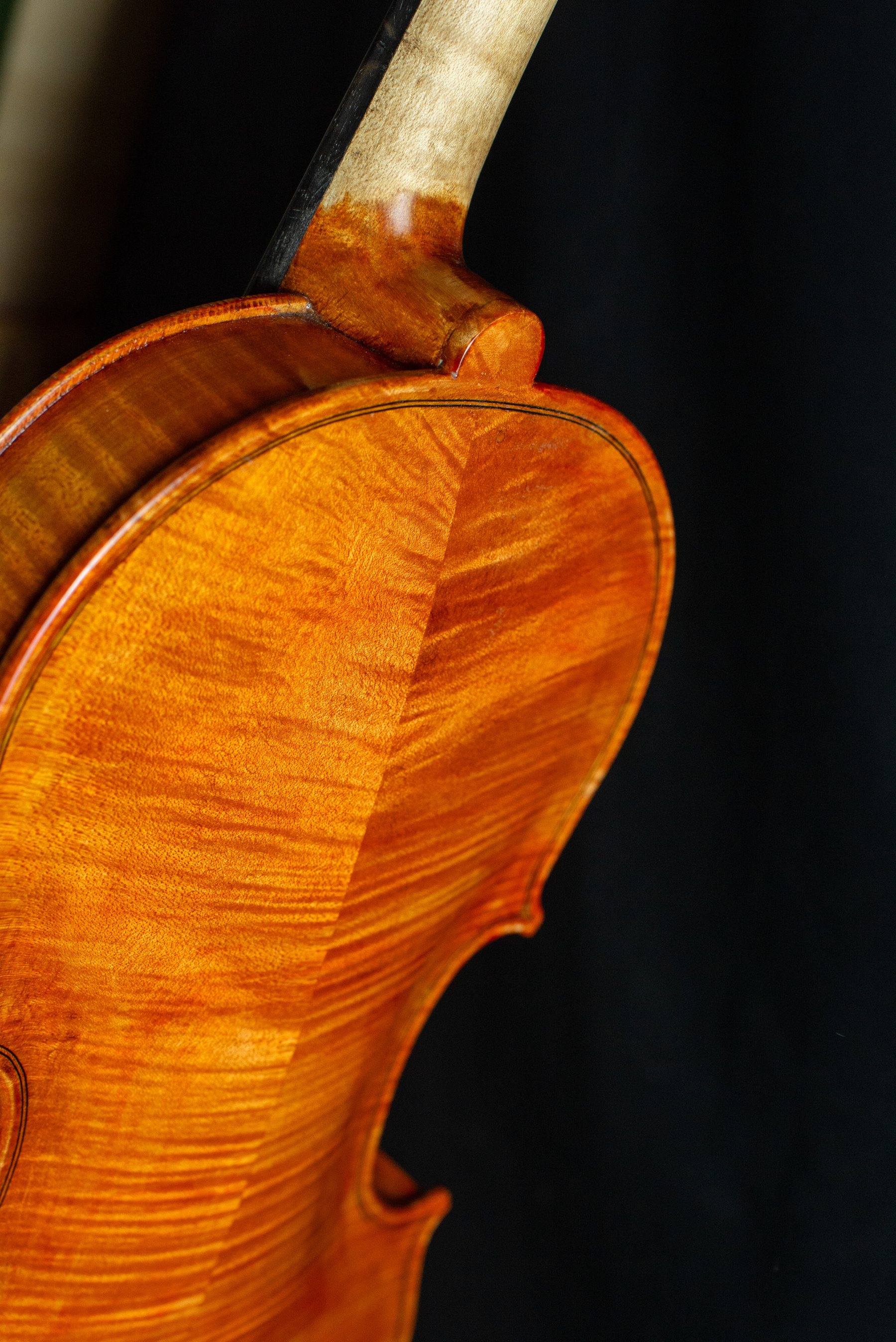 Violino — fotografia 3