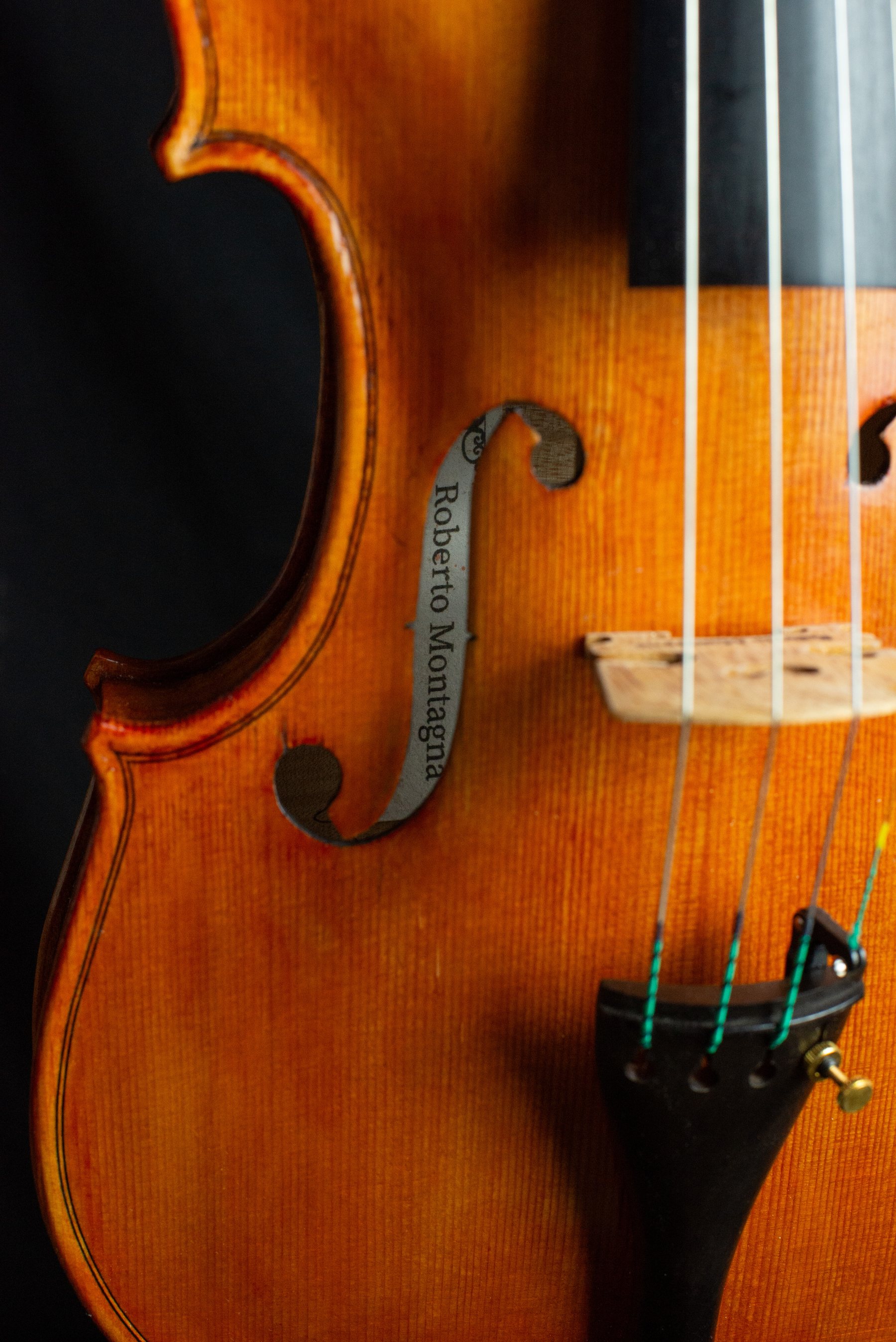 Violino — fotografia 4