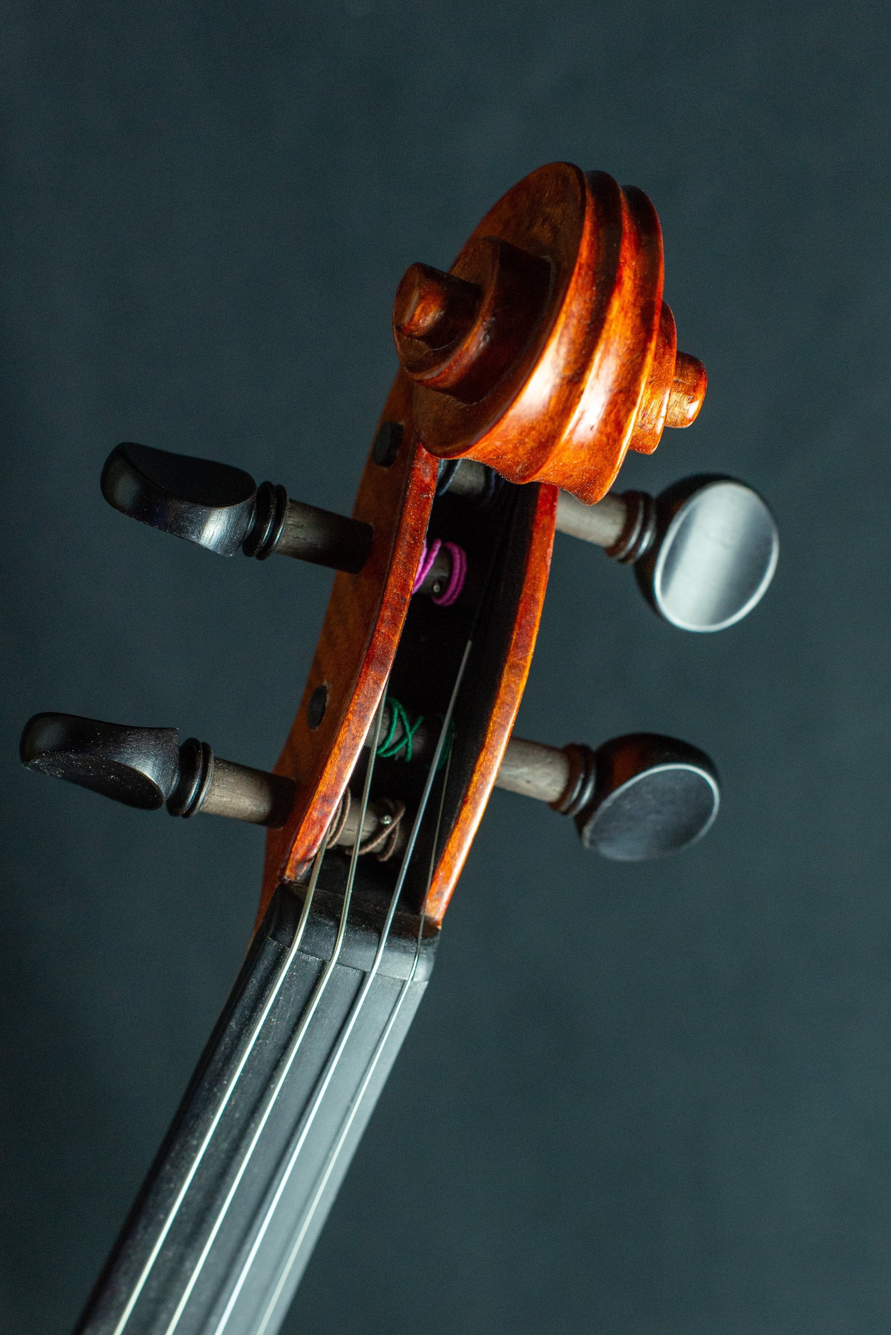 Violino — fotografia 5