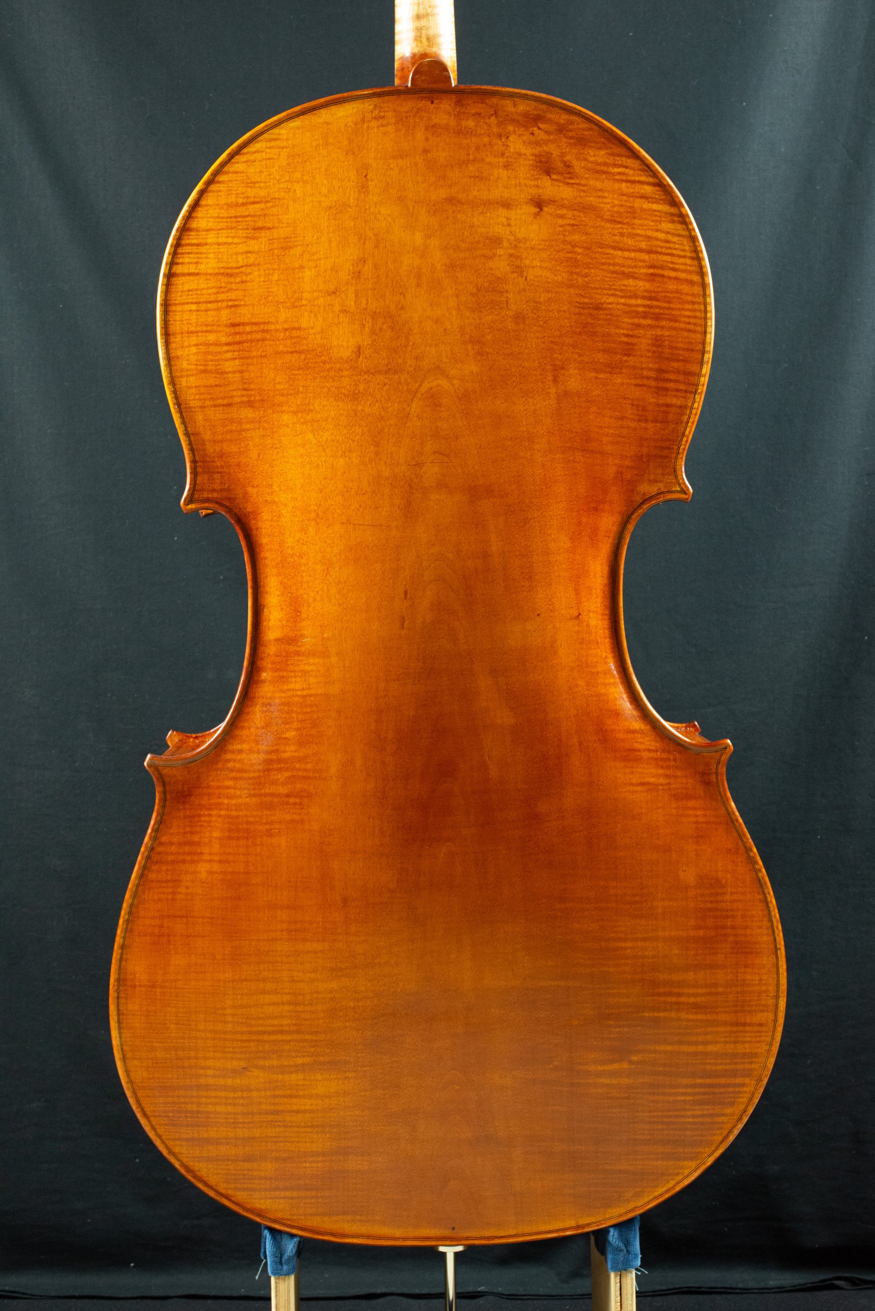 Violoncello — fotografia 2