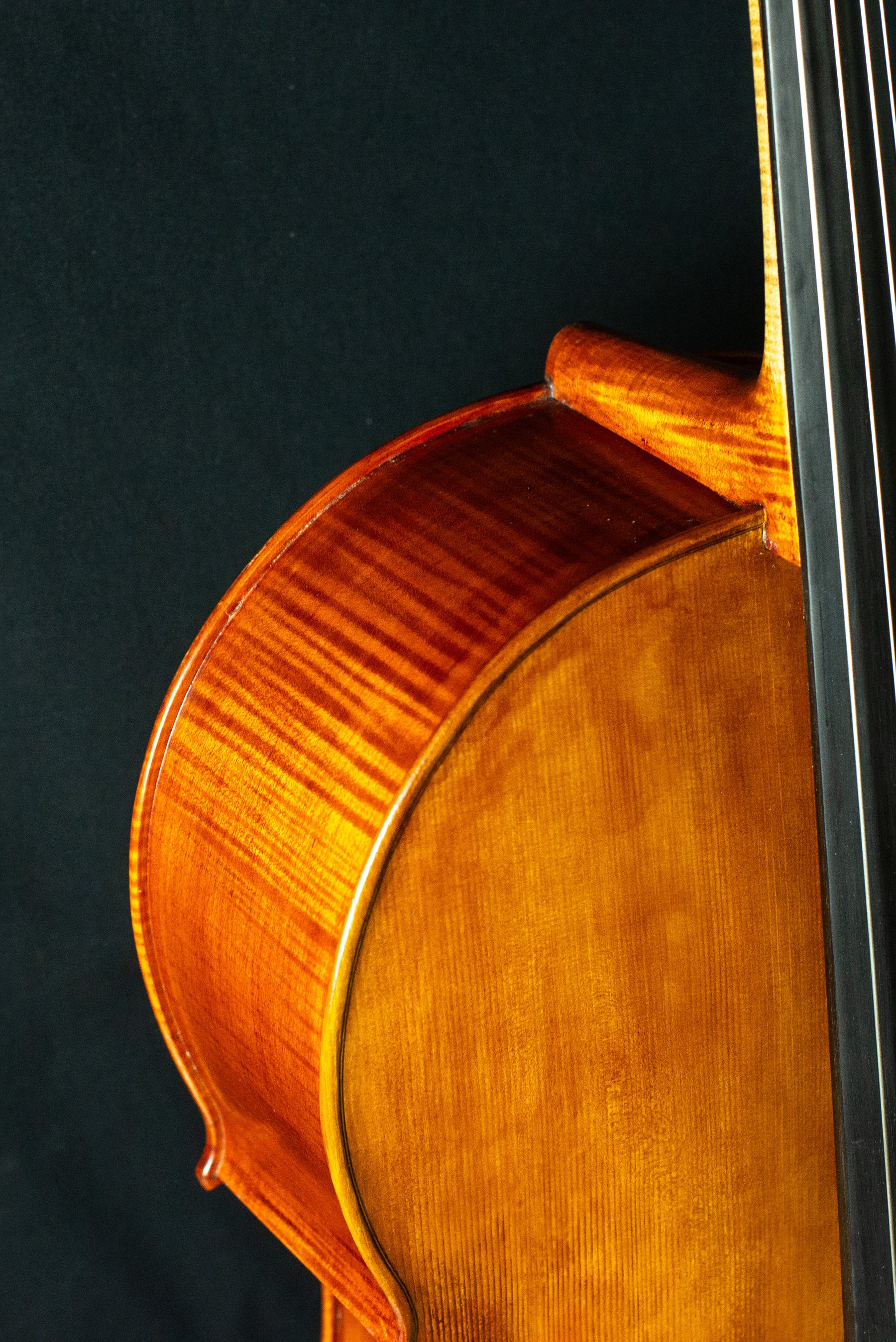 Violoncello — fotografia 3