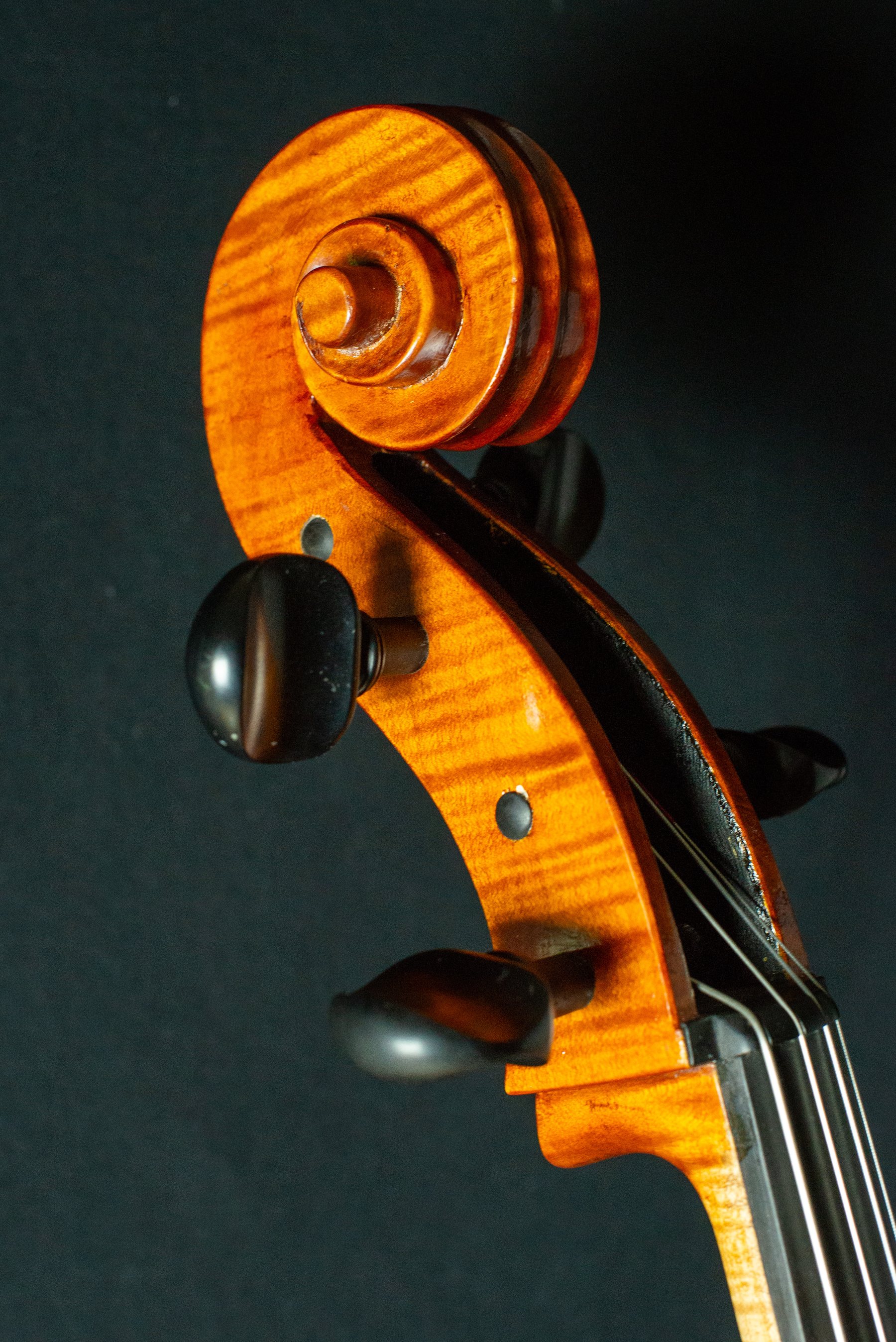 Violoncello — fotografia 4
