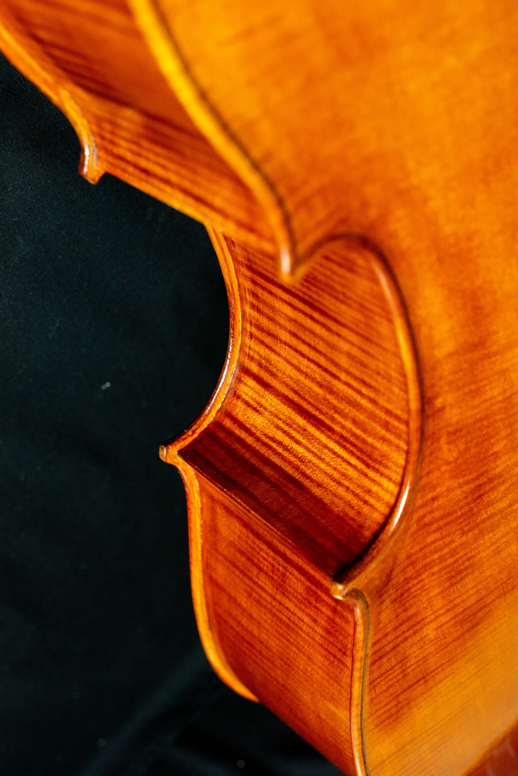 Violoncello — fotografia 5