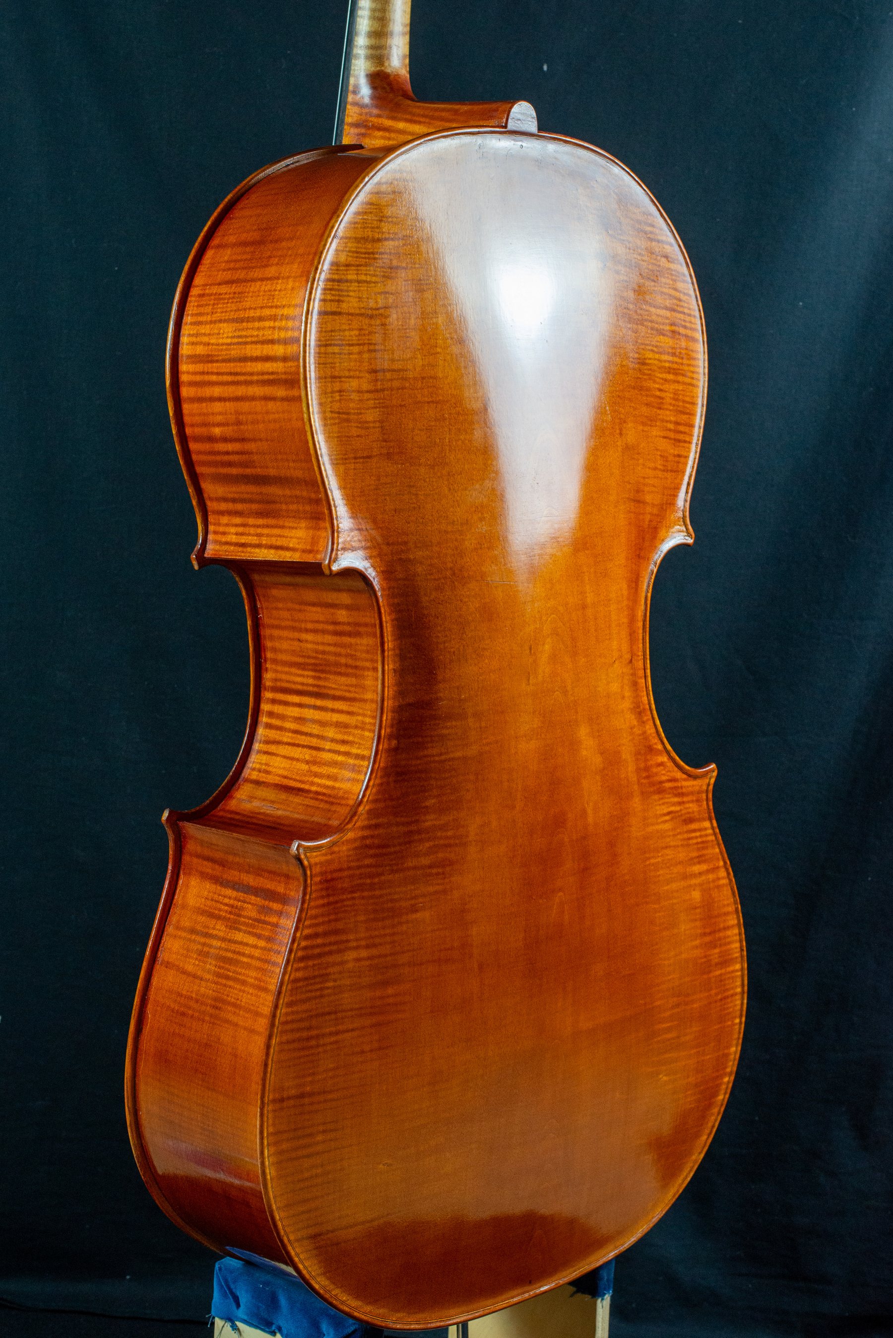 Violoncello — fotografia 6