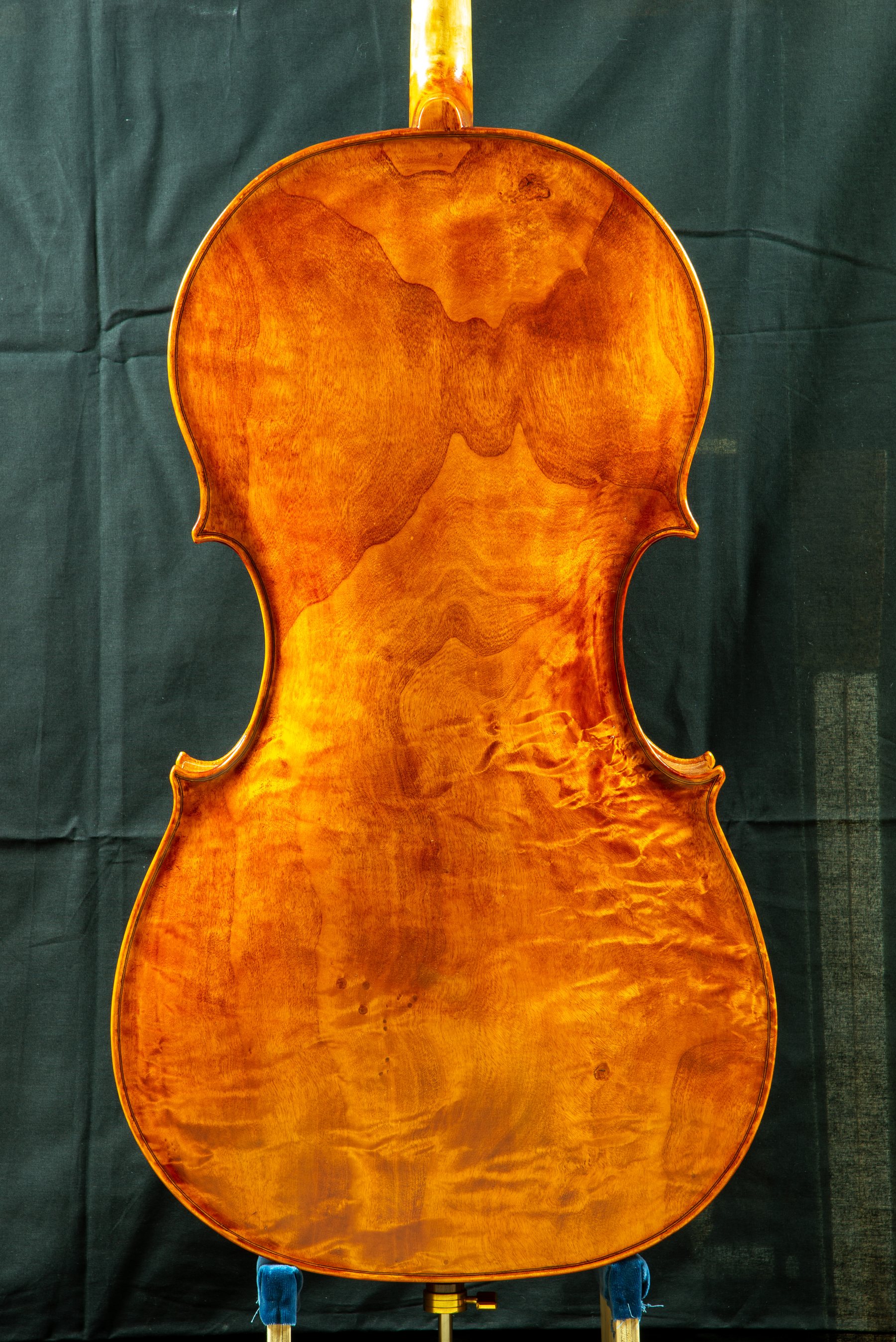 Violoncello — fotografia 3