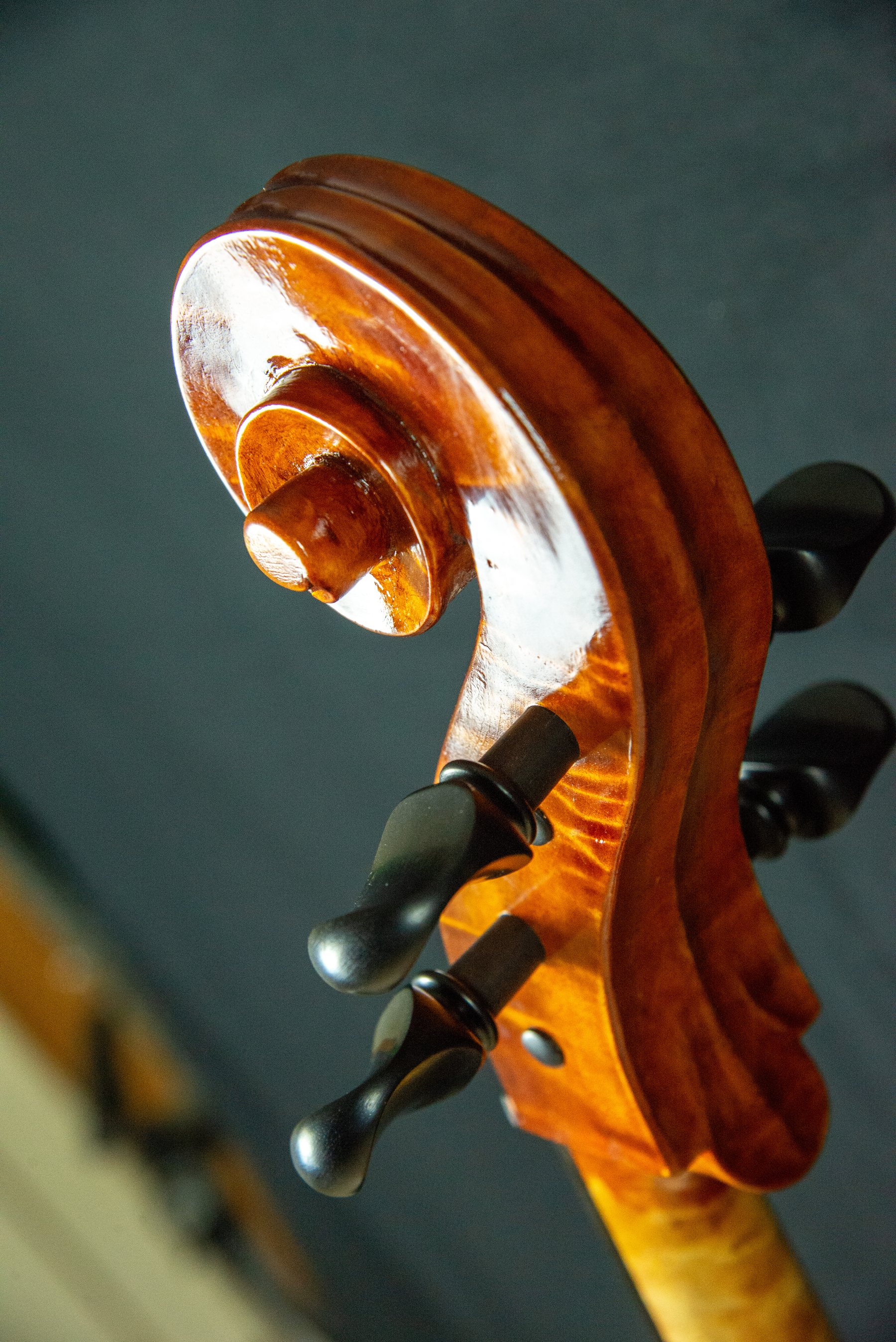 Violoncello — fotografia 4