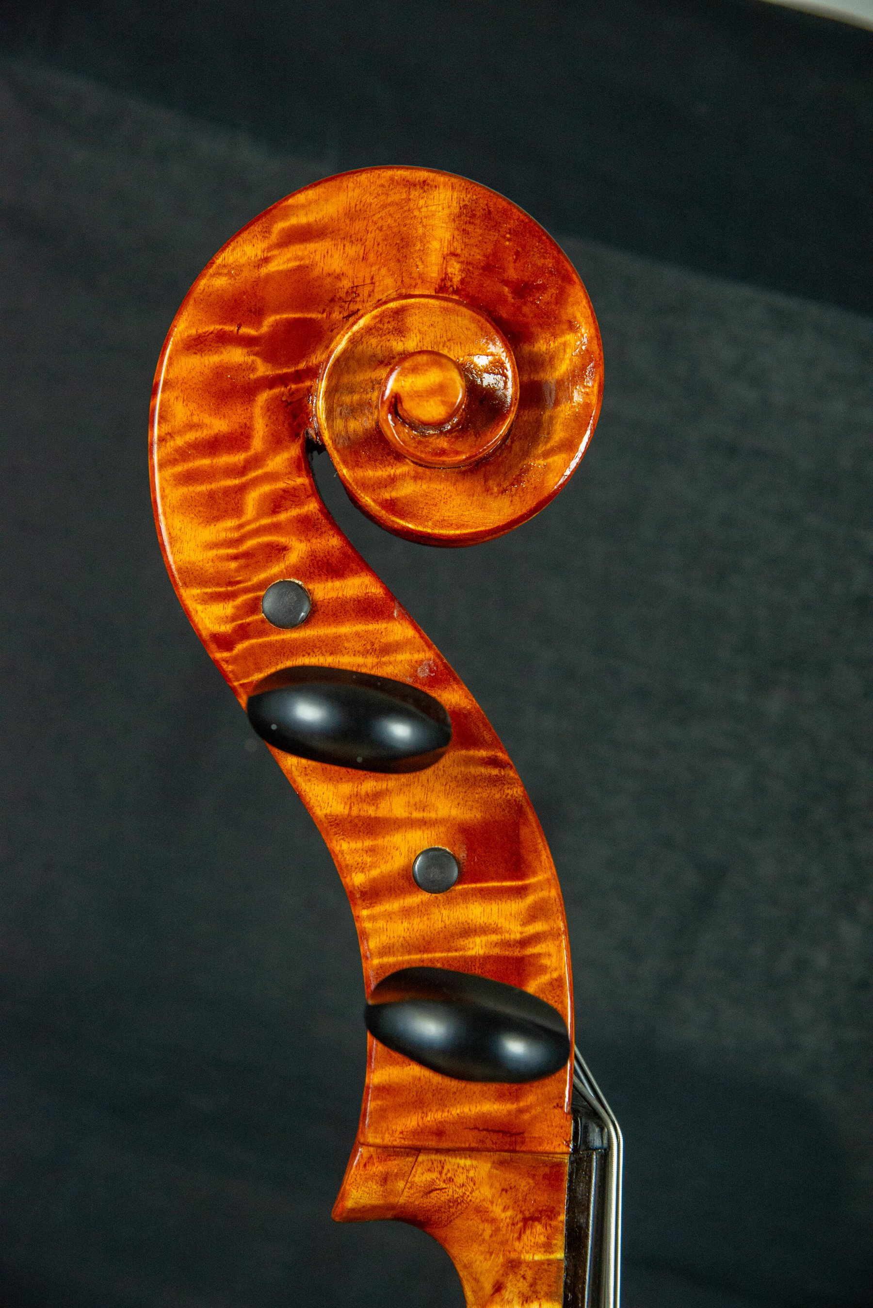 Violoncello — fotografia 5