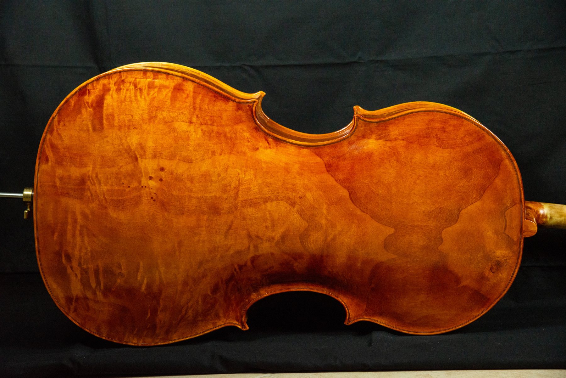 Violoncello — fotografia 6