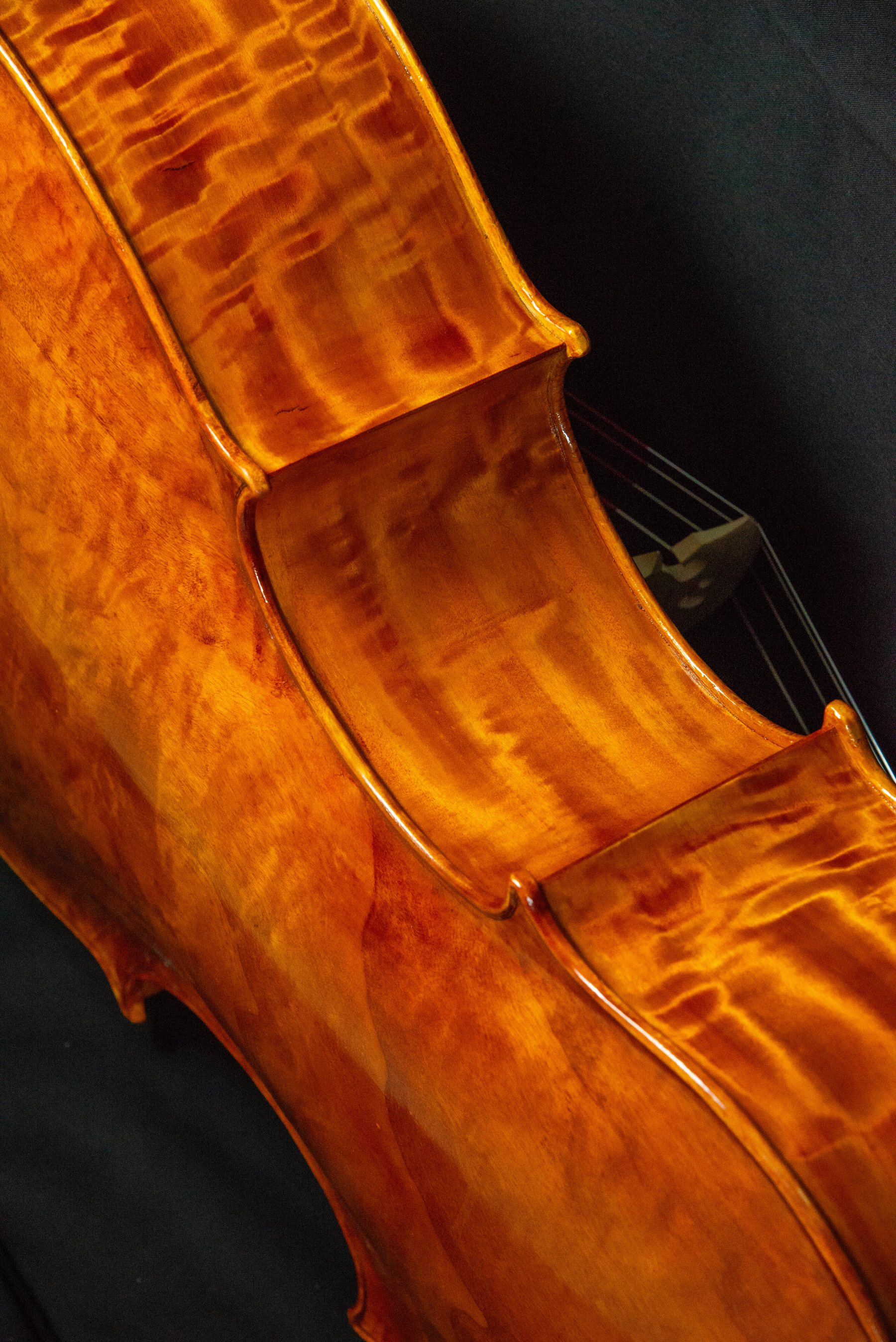 Violoncello — fotografia 7