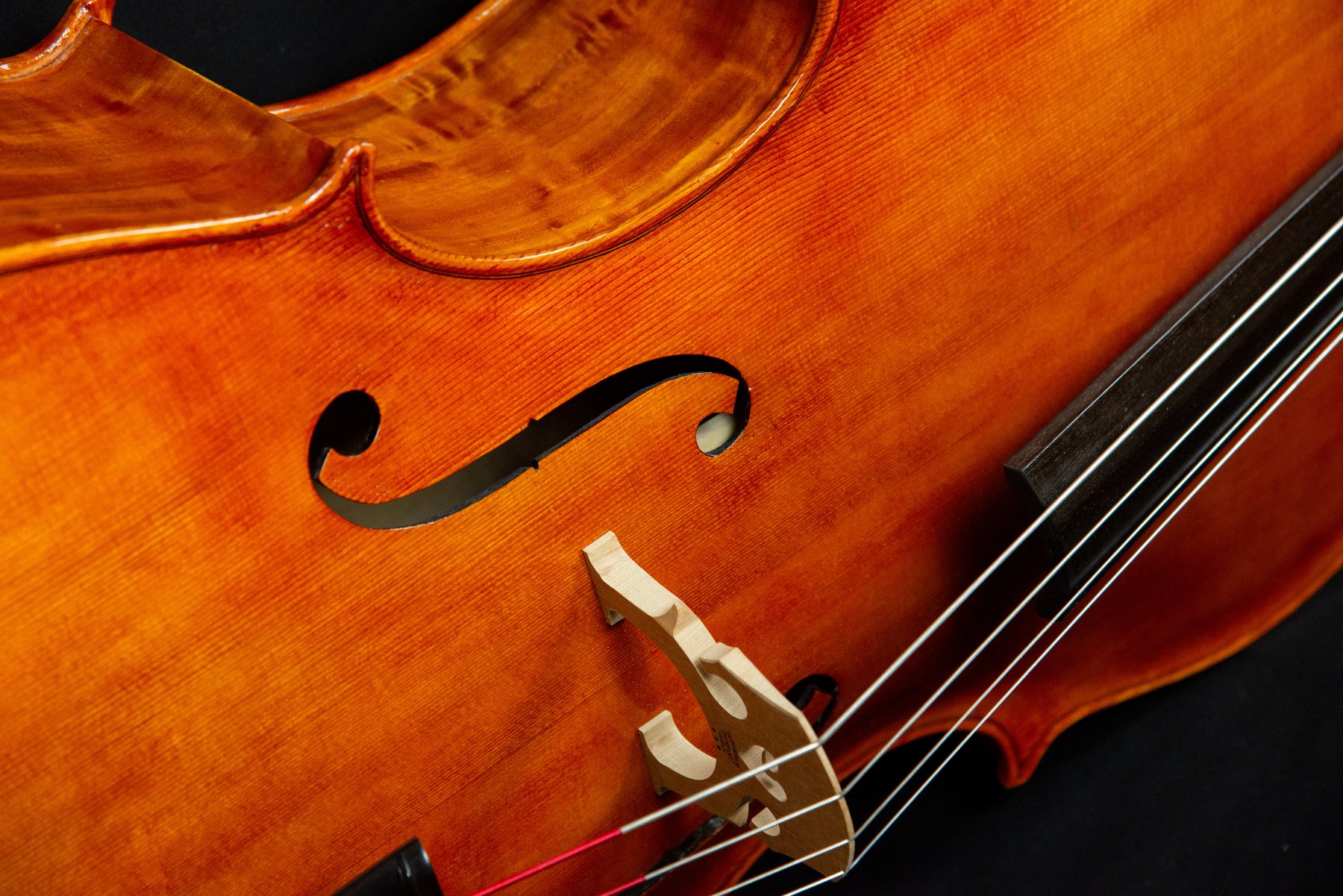 Violoncello — fotografia 8
