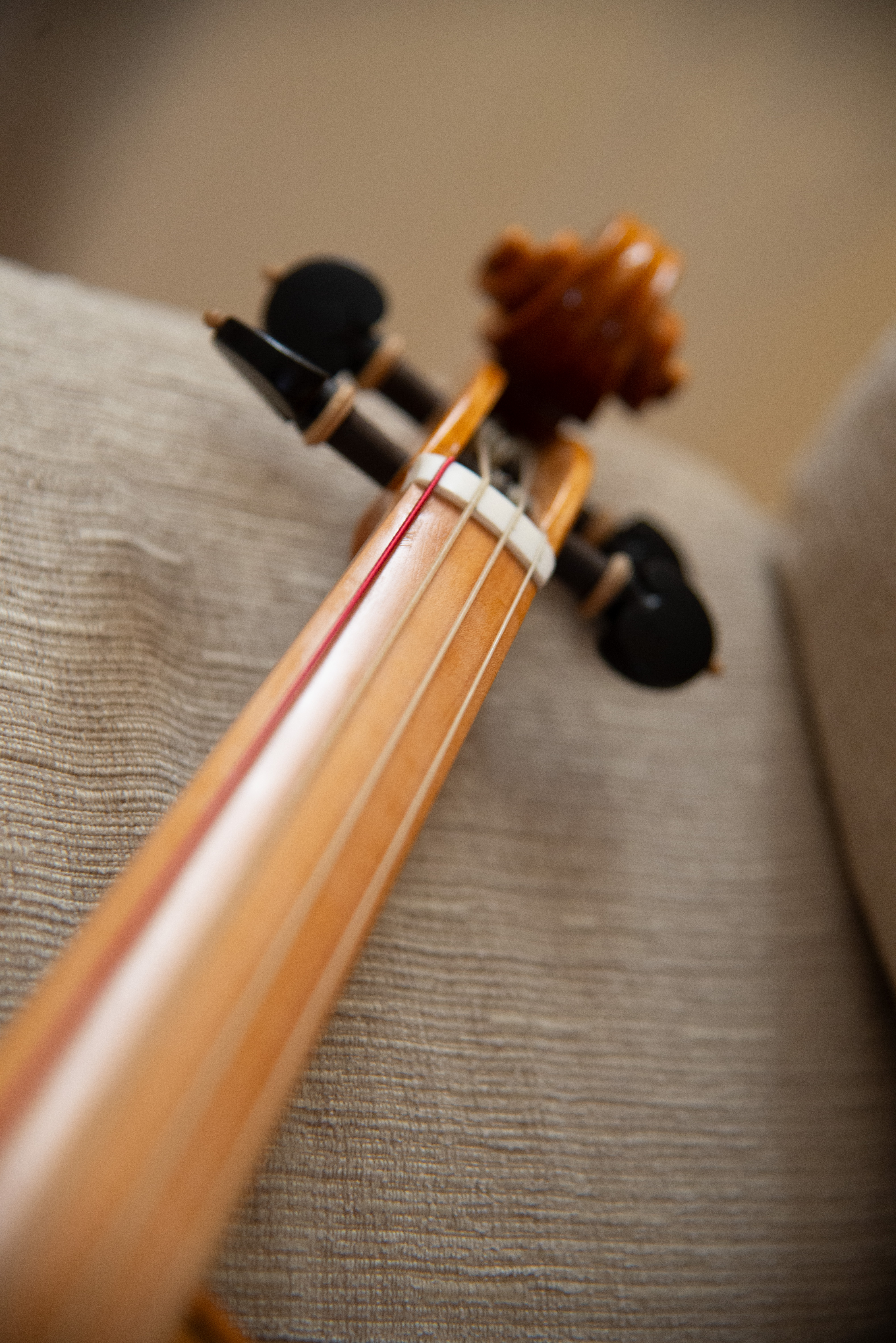 Violino